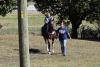 Horse Riding